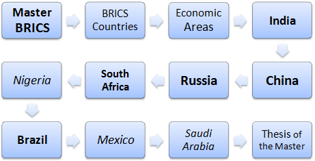Master in Business BRICS Countries